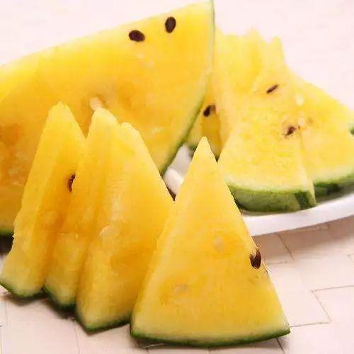 吃瓜总部在哪里,吃瓜总部神秘基地，带你一探究竟