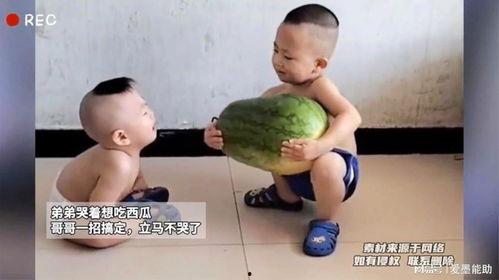 哥哥弟弟吃瓜,哥哥弟弟的吃瓜大冒险