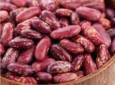 种瓜吃瓜种豆挖豆,从种瓜吃瓜到种豆挖豆的智慧之旅