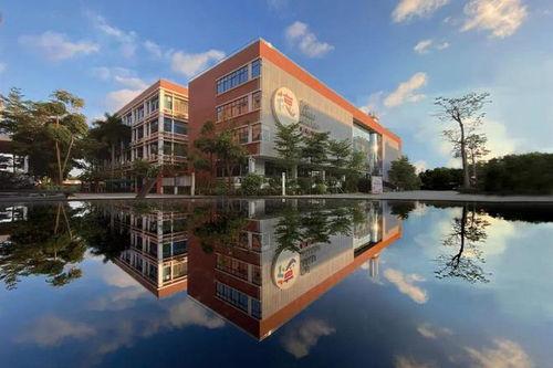 深圳校园吃瓜,吃瓜群众揭秘校园热点事件