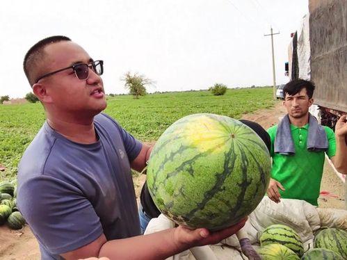 乌拉圭吃瓜,瓜果飘香，品味异国风情