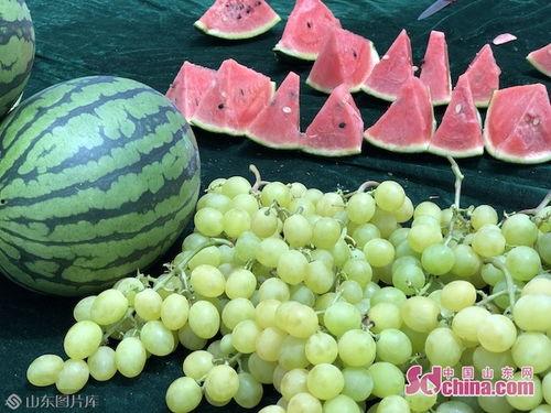 山东贴吧吃瓜,一场吃瓜盛宴，揭秘网络热点背后的故事