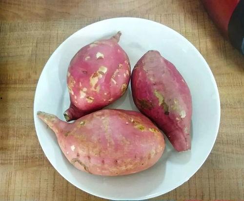 地瓜视频吃瓜视频下载,热门下载攻略大公开