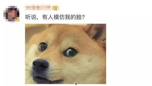 吃瓜与旺柴,揭秘网络舆论场的双面魅力