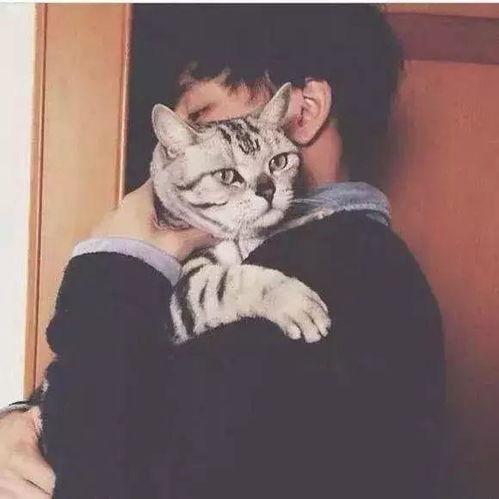吃瓜猫咪头像男生,男生萌态尽显